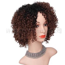 curly hair Fibre Wig wig womens style wigs chemical gradient headgear short