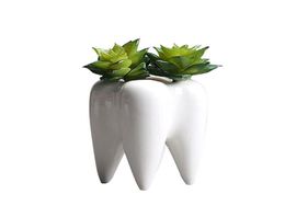 Tooth Shape Desktop Ceramic Succulent Plants Pot Modern Design Mini Planter Pots Flower Vase Decor C190419016977280