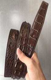 Belts Authentic Genuine Crocodile Skin Male Brown Belt For Smooth Pin Buckle Exotic Real Alligator Leather Men039s Black Waist 7228998