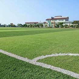 Artificial turf turf green enclosure turf court school free sand lawn kindergarten artificial turf football field special manufacturer direct sales