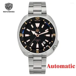 Wristwatches Watchdives Land Tortoisen WD6105 Dive Watch NH35 Automatic AR Sapphire Crystal BGW9 Super Luminous 20ATM Stainless Steel