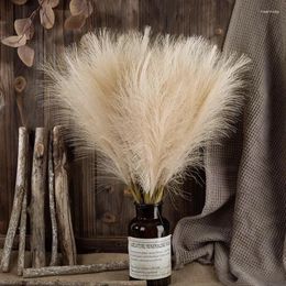 Decorative Flowers INS Style Reed Pampas Grass Simulation Fluffy Boho Decor Flower Fake Plant High Quality Bouquet Propbackground