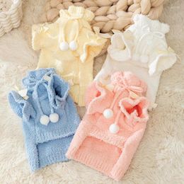 Dog Apparel Korean Version Of Clothing In An Ins Style Cute Fur Ball Teddy Two Legged Sweater Puppy Knit Winter Pet Clothes XS-XL