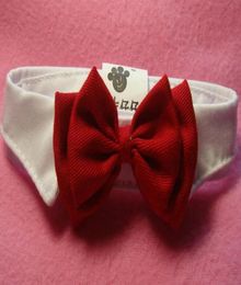 New Small Adjustable Dog Bow Tie Neck Tie Cute Pet Cotton British Style Collar for Small Dogs Cats Neck Tie G4748676771