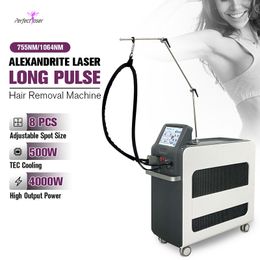 Latest Alex Laser Hair Removal Machine Nd Yag Hair Reduction Laser Equipment Pigmentation Removal Beauty Salon Use
