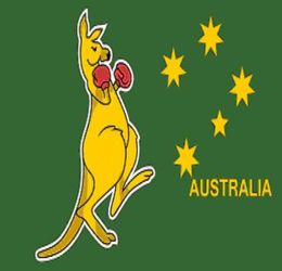 boxing kangaroo Flag 3ft x 5ft Polyester Banner Flying 150 90cm Custom flag outdoor5755692