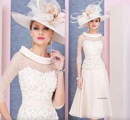 Elegant Light Pink Mother Of The Bride Dresses Tea Length Lace Plus Size Wedding Guest Dress A Line Beads Evening Gowns 0431
