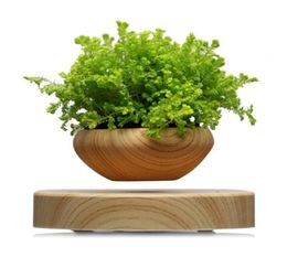 Magnetic Levitating Potted Plant Air Bonsai Pot Levitation Plants Planter Flower Pots Succulent Plant For Home Office Decor Y200721797685