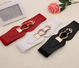 Belts Women039s Belt Hook Buckle Patch Women Casual Wide Fashion Elastic Girdle Cummerbunds Dress Decorate2106481