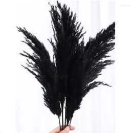 Decorative Flowers 5pcs/lot Large Pampas Grass Dye Natural Black Reed Flores For Living Room Shop Meeting Decortion Free Shopping