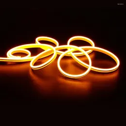 Strings Flexible Led Light Ip65 Waterproof 5m Neon Strip For Diy Decoration Low Voltage Super Bright Side Soft