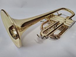 Cornet YCR 2311 with case Standard model