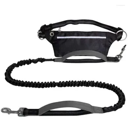 Dog Collars Leash With Waist Bag Reflective Jogging Dogs Traction Rope Extendable Bungee Running Belt