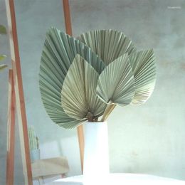Decorative Flowers 2-5pcs Preserved Fresh Flower Home Decoration Palm Leaf/Fan Leaves Dried Mori Style Natural Branches And