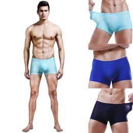 Underpants Men's Sexy Summer Thin Transparent Ice Silk Underwear Women Boxers Briefs Cotton Mens Size Small Male