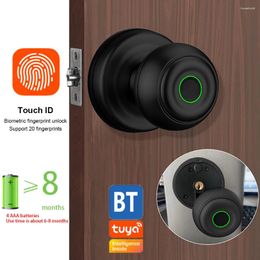 Smart Lock Tuya Biometric Fingerprint Door Password Electronic Digital Keyless Entry Knobs Mechanical Key Unlock