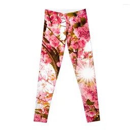 Active Pants Cherry Blossom With Sun - Joy Of Spring Leggings Jogger Sports For Push Up Legging Sport Fitness Womens