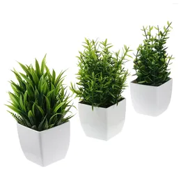 Decorative Flowers 3 Pcs Simulated Potted Plant Fake Bonsai Imitation Ornaments Small Plants Mini Pp Desktop Adornments Office Succulent