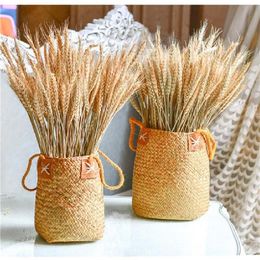 100Pcs lot Real Wheat Ear Flower Natural Dried Flowers For Wedding Party Decoration DIY Craft Scrapbook Home Decor Wheat Bouquet277m