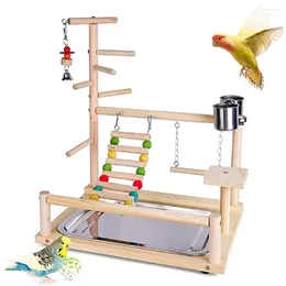 Other Bird Supplies Parrot Playstand Wood Playground Perch Gym Playpen With Feeder Cup Play Stand Cage Toys For Cockatiel Parakeets Budgie