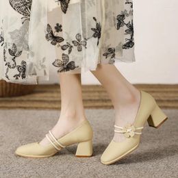 Dress Shoes Xiaohua Casual Professional High-heeled 2024 Fashion Design Mary Jane Women All-match Thick-heeled Pumps