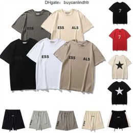 Summer Mens Designer T Shirt ESS Fashion Brands Womens Loose Tees Luxury Couples Street Hip Hop Short Sleeve T-shirt Size S-XL 8WAR