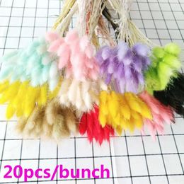 Decorative Flowers Picta Plant Stems Pastoral Style Natural Material Dried Bouquets Lagurus Ovatus Bunny Tails Rabbit Tail Grass