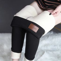 Women Pants Winter Fleece Thicken Pants Lamb Wool Outerwear Thermal High Waist Leggings Warm Slim Black Velvet Female Trousers 240201