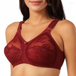 Bras Push Up Plus Size Lace Unlined Wire Free Sexy Brown Mesh Bra Women Lingerie Bralette Big C D E F G H I