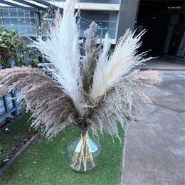 Decorative Flowers 80-120cm Big Pampas Grass Gray Large Long Natural Dried Fluffy Artificial For Home Boho Decor Wedding Decoration