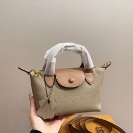dumpling shape tote bag designer mini leather luxurys handbags zipped hobo crossbody bags for woman brand multi-functional Organiser bag makeup bags clutch handbag
