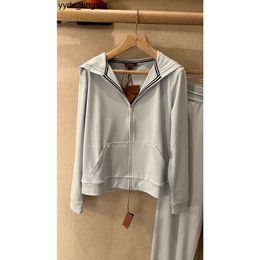 Loro Piano Hoodies Winter Women Light Blue-gray Cashmere Hooded Long Sleeved Knit Cardigan ZALI