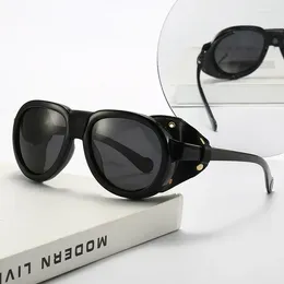 Sunglasses Retro Men's Polarised Trend Punk Windproof Glasses Outdoor Riding Eye Protection Sunscreen