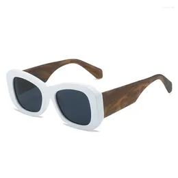 Sunglasses Imitation Plate Fashion 5602 Europe And The United States All Candy-colored Street S