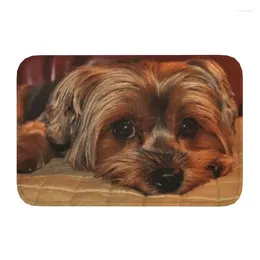 Carpets Yorkshire Terrier Yorkie Dog Front Door Mat Anti-Slip Quick Dry Indoor Doormat Kitchen Balcony Rug Living Room Entrance Carpet