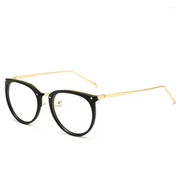 Sunglasses Frames 2024 Optical Glasses Frame Women Men Round Oversized Eyeglasses Metal Spectacles Clear Lenses