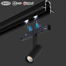 Track Lights LED Magnetic Track Lighting System Smart Dimmable 48V Dali Zigbee Magnet Spot Light Living Room Kitchen Linear Magnetic Lamp YQ240124