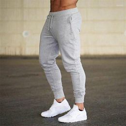 Men's Pants Pretty Comfortable Gym Daily Sports Custom Logo High Quality Polyester Casual Men Trousers Wholesale