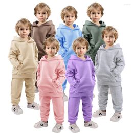 Clothing Sets Spring Autumn 2024 Toddler Baby Boys Girls Clothes Set Kids Tracksuit Thin Hoodies Sweatshirts Pants Children Outfits 2 Pcs