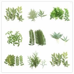 Decorative Flowers 60pcs Pressed Dried Leaves Plants Herbarium For Jewelry Postcard Phone Case Invitation Card Bookmark DIY Lots Of Style