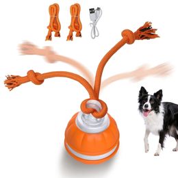 Interactive Dog Toy Ball Motion Activated Smart Dog Toy Automatic Moving Teasing Balls Puppy Cleaning Teeth Chew Toys Knot Rope 240130