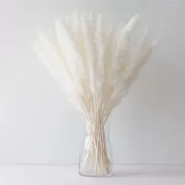 Decorative Flowers 30pcs White Pampas Grass Fluffy Pampa Dried Flower Bunch For Vase Filler Bouquet Home Living Room Wedding Decorations