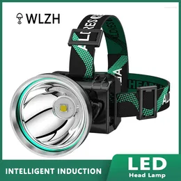 Headlamps LED Sensing High Power Headlight USB Charging Strong Light Portable Headlamp Focus Long Endurance Head-Mounted Fishing Camping