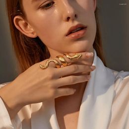 Cluster Rings Opening Adjustable Ring Jewellery Gifts Punk Snake For Men Women Girls Exaggerated Long Snake-Shaped Gold Siver Colour