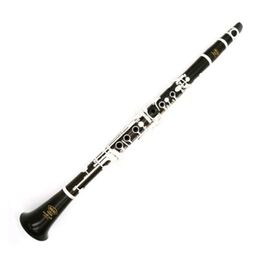SADSN SCL-100S 17 Keys Bb Tune Clarinet Bakelite Body Silver Button B Flat Clarinet Beginner Musical Instrument with Case