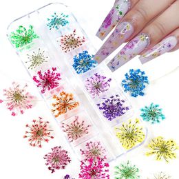 Nail Art Decorations Dried Flower 3D Decoration Natural Floral Sticker Dry For UV Polish DIY Manicure Design Nails Accessories