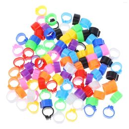 Other Bird Supplies 100 Pcs Meat Pigeon Anklet Rings Pigeons Identification Pet Tag Accessories Clip Leg Foot Plastic Opening Dove