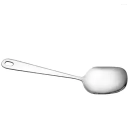 Spoons Stainless Steel Serving Spoon Large Solid Cooking Buffet Banquet 8.65Inch Kitchen Metal Utensil Tabletop