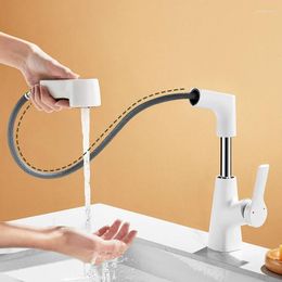 Bathroom Sink Faucets Basin Faucet 1080 Degree Pullout Kitchen Tap Heated And Cold Tapware