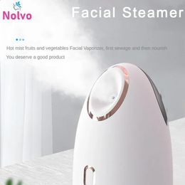 Warm Mist Steam Sauna Beauty Steam Cleaner Nebulizer Face Humidifier Nebulizer Face Steamer Beauty Instrument 240119